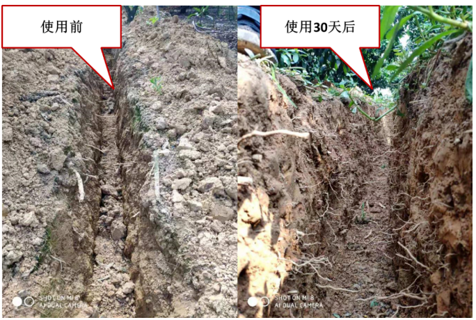 “土壤板结克星”：土壤调理剂你了解多少？